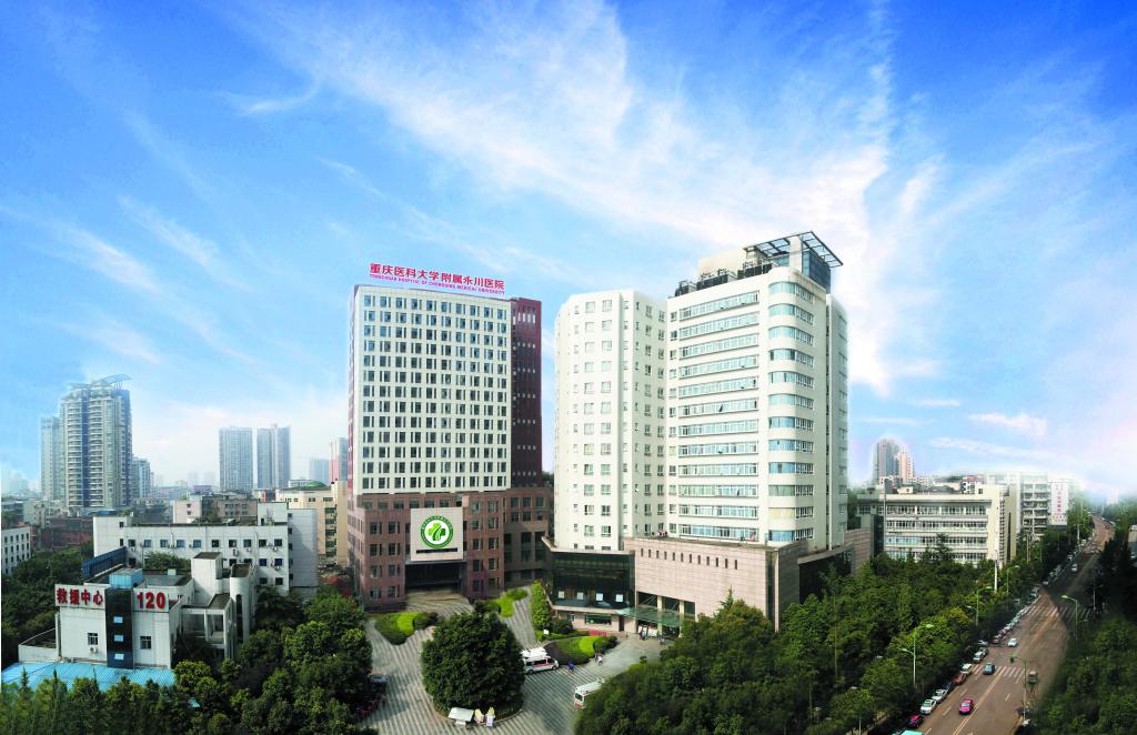 重庆市第二人民医院信息改造项目